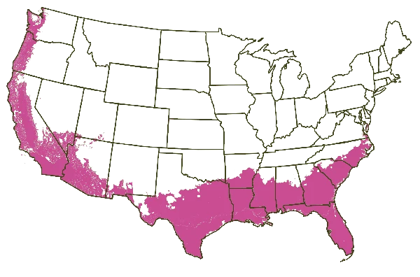 Growing Zones