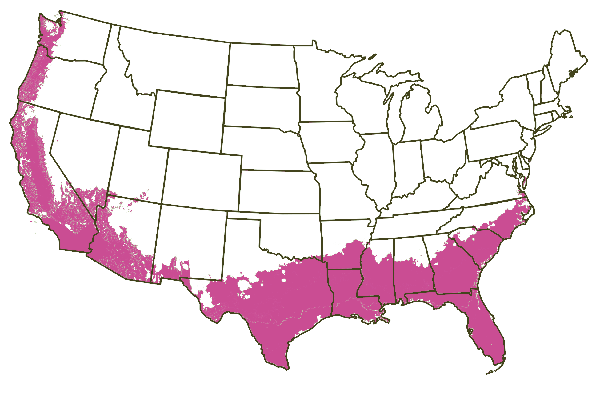 Growing Zones