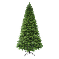 Virginia Pine