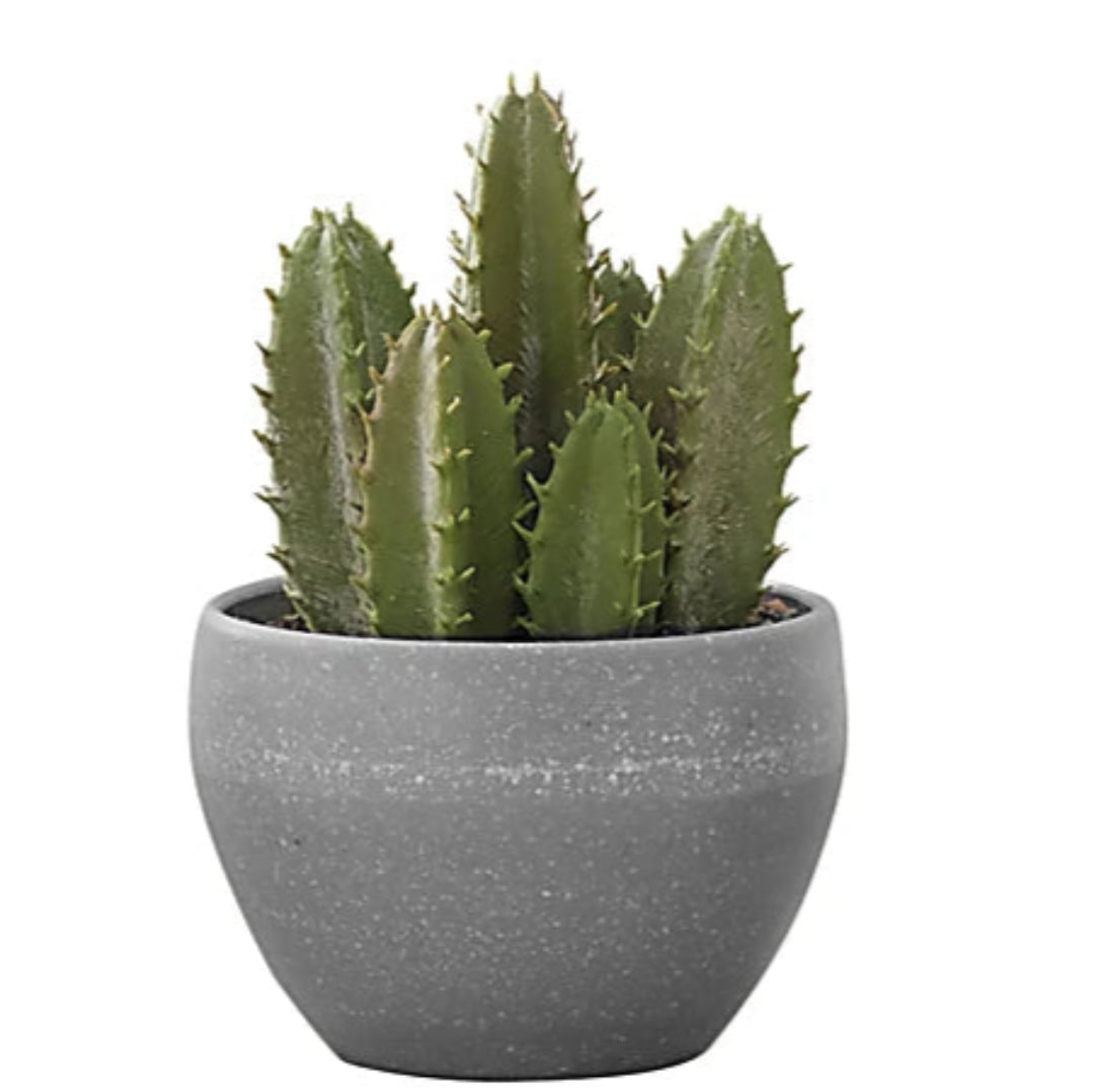 Artificial Plant : Green Potted Cactus Set of 3