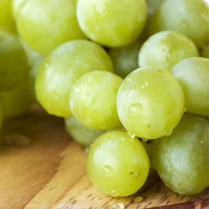 Marquis Seedless Grapes