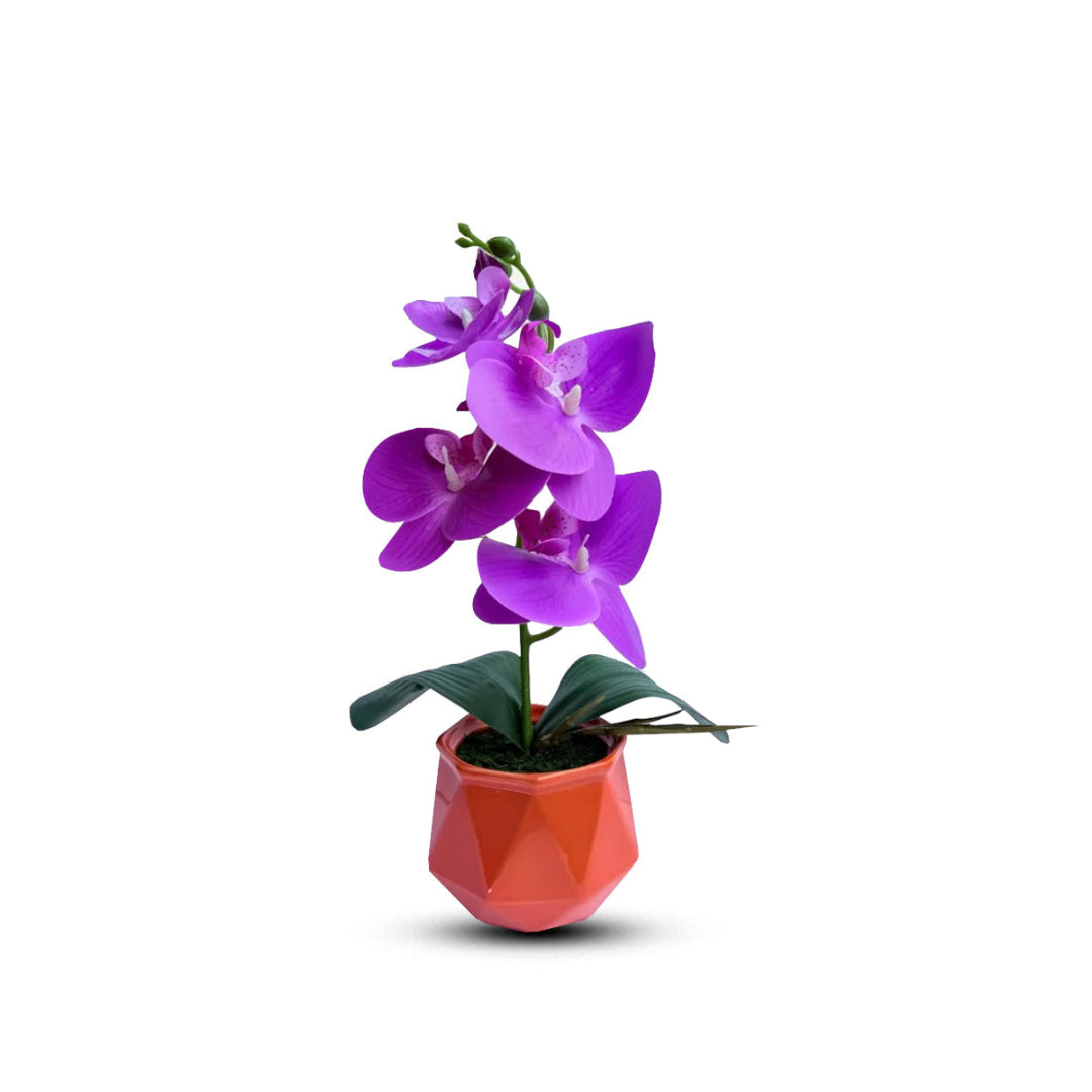 Gorgeous Purple Mini Orchid In Different Type of Pot - Artificial