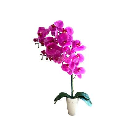 Stunning Orchids-Artificial-Good Gift