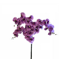 Gorgeous Variegated Orchids with 9 Flowers (Artificial) (The Perfect Christmas Gift)