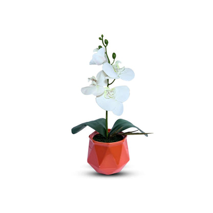 Gorgeous White Mini Orchid In Different Type of Pot - Artificial