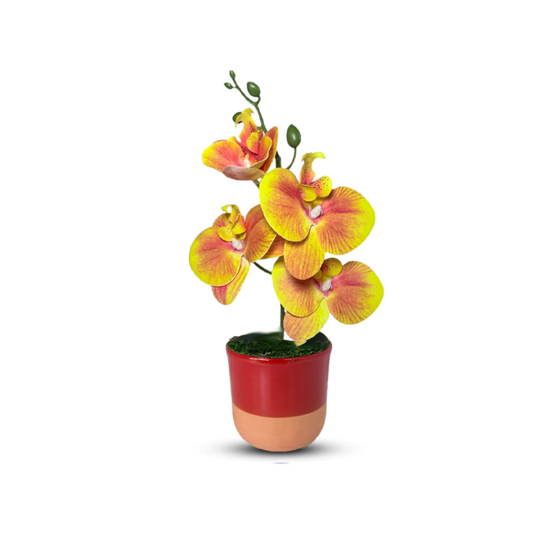 Gorgeous Orange Mini Orchid In Different Type of Pot - Artificial