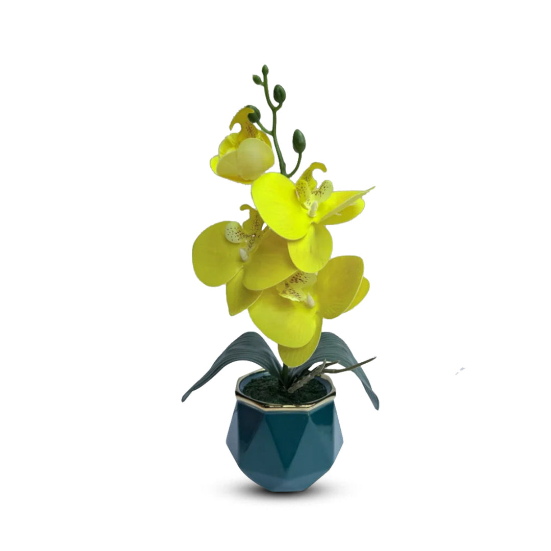 Gorgeous Yellow Mini Orchid In Different Type of Pot - Artificial