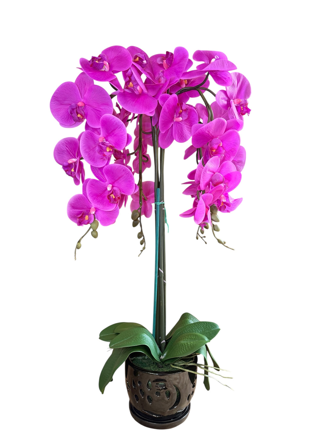 Elegant Purple Orchid in Black Ceramic Pot