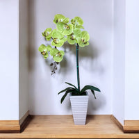 Artificial Stunning Orchid in Tall Ceramic Pot-Good Gift