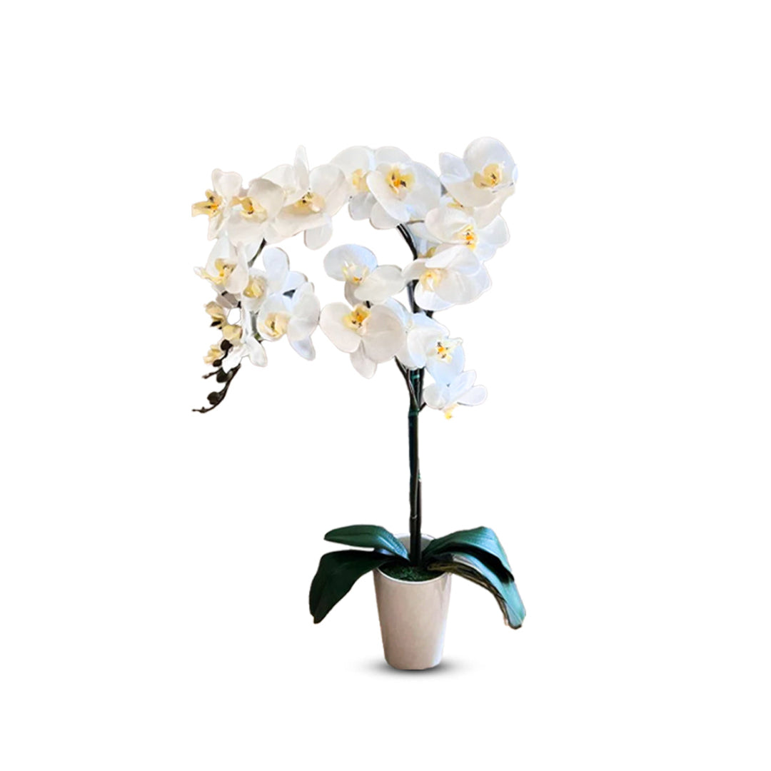 Stunning Orchids-Artificial-Good Gift