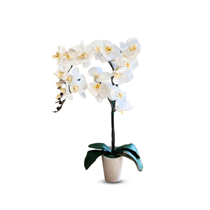 Stunning Orchids-Artificial-Good Gift