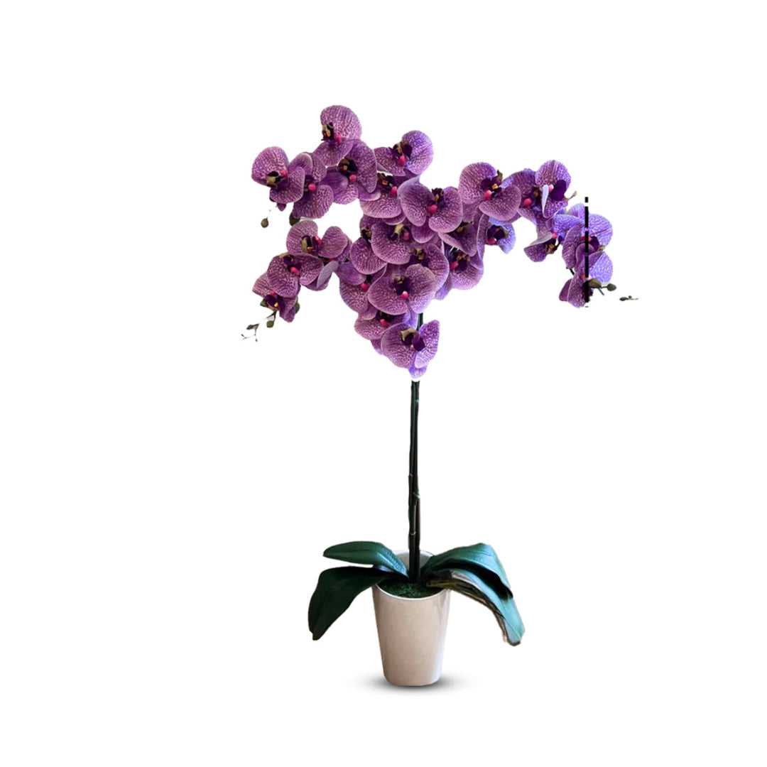 Gorgeous Variegated Orchids with 9 Flowers (Artificial) (The Perfect Christmas Gift)