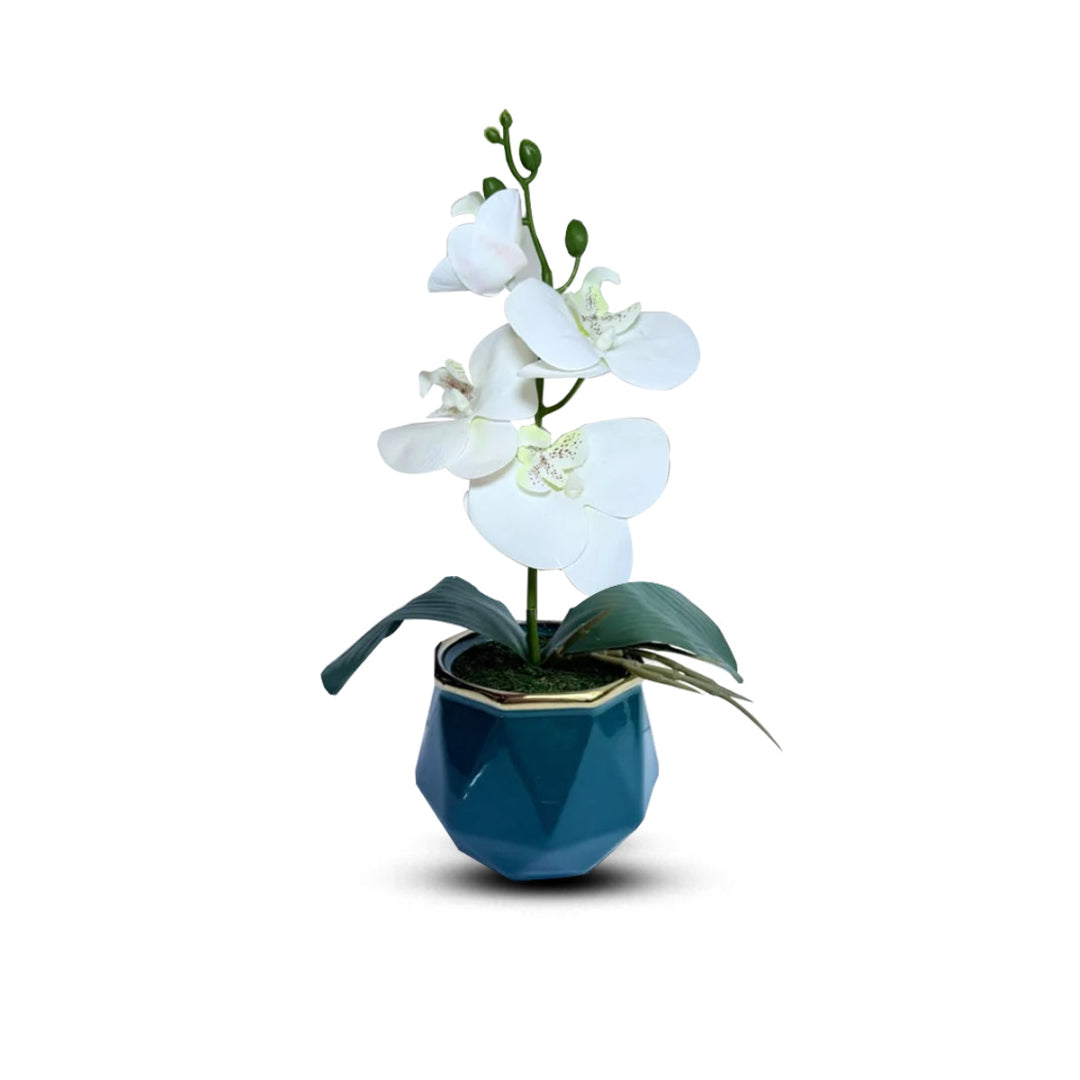 Gorgeous White Mini Orchid In Different Type of Pot - Artificial