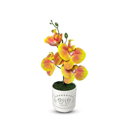Gorgeous Orange Mini Orchid In Different Type of Pot - Artificial