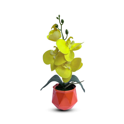 Gorgeous Yellow Mini Orchid In Different Type of Pot - Artificial
