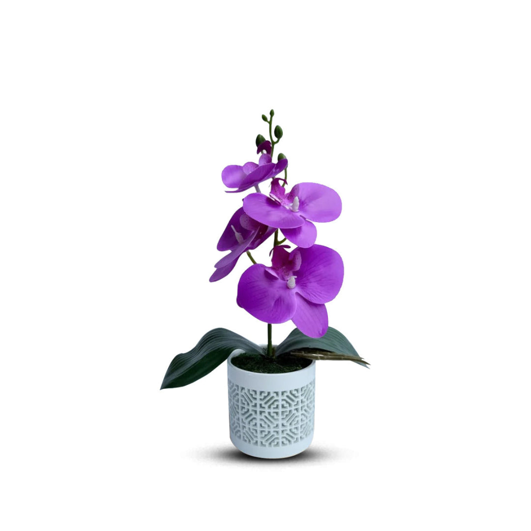 Gorgeous Purple Mini Orchid In Different Type of Pot - Artificial