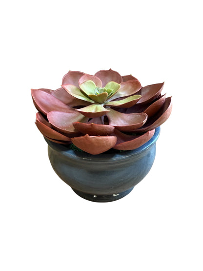 Artificial Echeveria Succulent in Gray Ceramic Pot – Perfect Gift for Home or Office Decor
