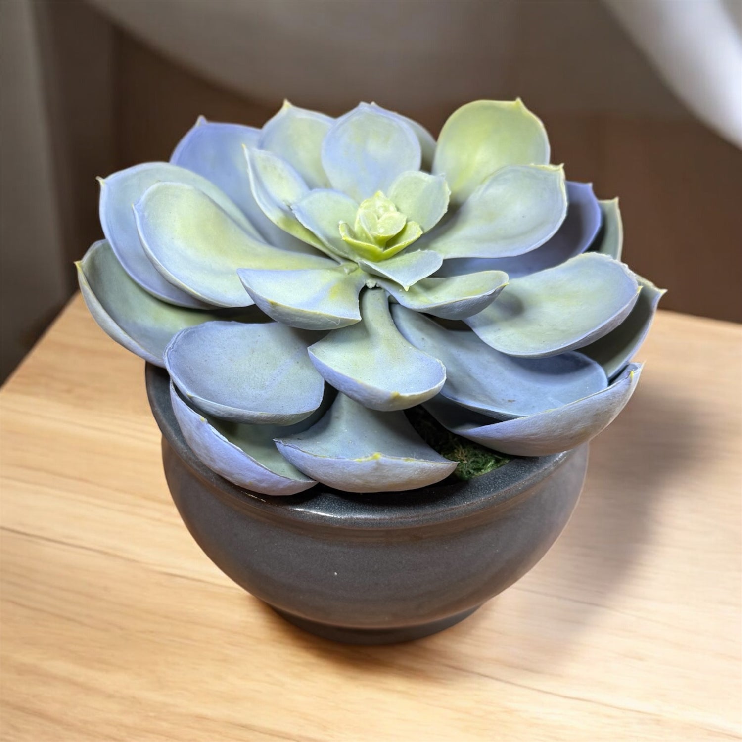 Artificial Echeveria Succulent in Gray Ceramic Pot – Perfect Gift for Home or Office Decor