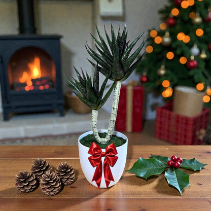 Artificial Succulent Plant – Realistic Modern Décor Piece