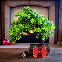 Elegant Artificial Bonsai Plant – Realistic Home Decor