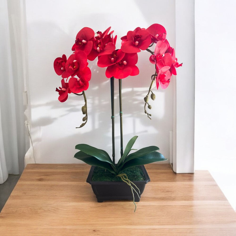 Exquisite Red Orchid in Rectangular Planter - Artificial (Great Valentine Gift)