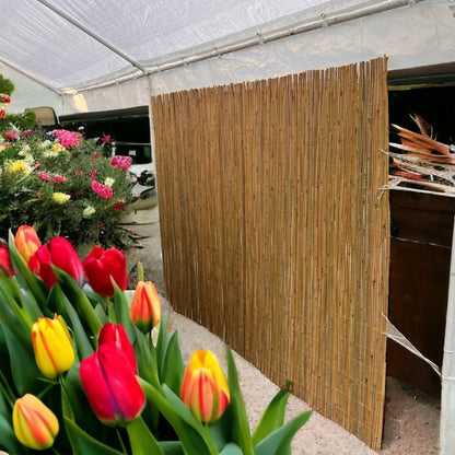 Bamboo Partition Wall, 8ft W x 6ft H.