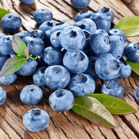 Bless Your Heart Blueberry plant with clusters of ripe berries