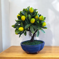 Mini Lemon Bonsai Artificial Plant – Realistic Faux Citrus Plant in Decorative Pot – Small Indoor Tabletop Home Decor