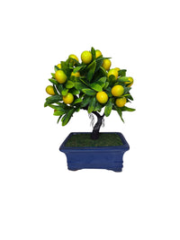 Mini Lemon Bonsai Artificial Plant – Realistic Faux Citrus Plant in Decorative Pot – Small Indoor Tabletop Home Decor