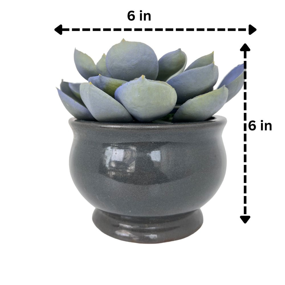 Gorgeous Echeveria in Color of Your Choice - Artificial