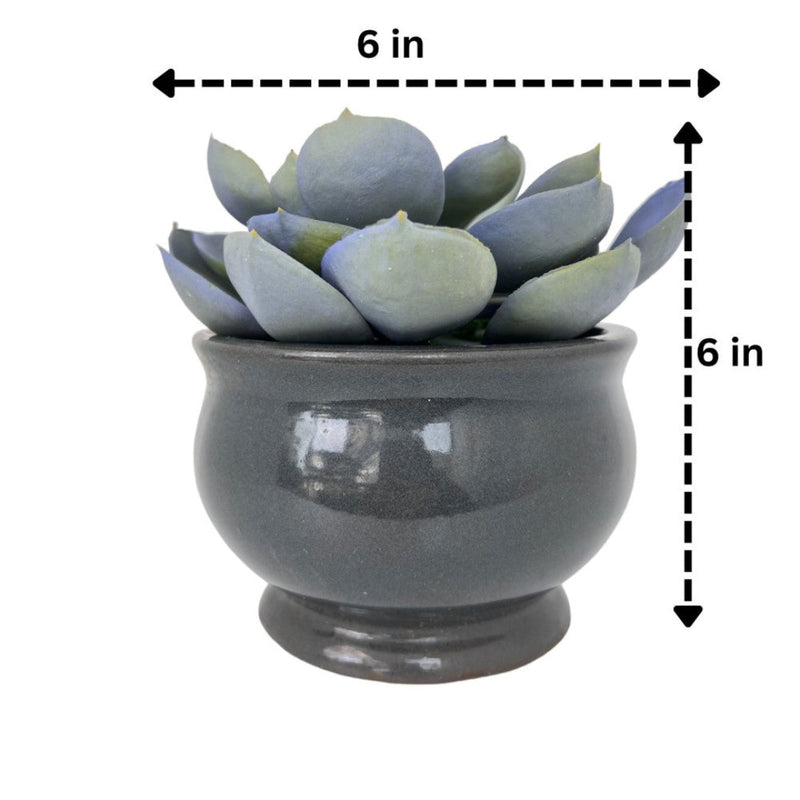 Gorgeous Echeveria in Ceramic Pot - Artificial