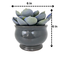 Gorgeous Echeveria in Ceramic Pot - Artificial