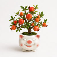 Artificial - Pomegranate Bonsai Ceramic Planter Pot