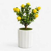 Artificial – Lemon Bonsai Ceramic Planter Pot (Good Gift)