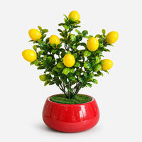 Artificial – Lemon Bonsai Ceramic Planter Pot (Good Gift)