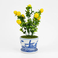 Artificial – Lemon Bonsai Ceramic Planter Pot (Good Gift)