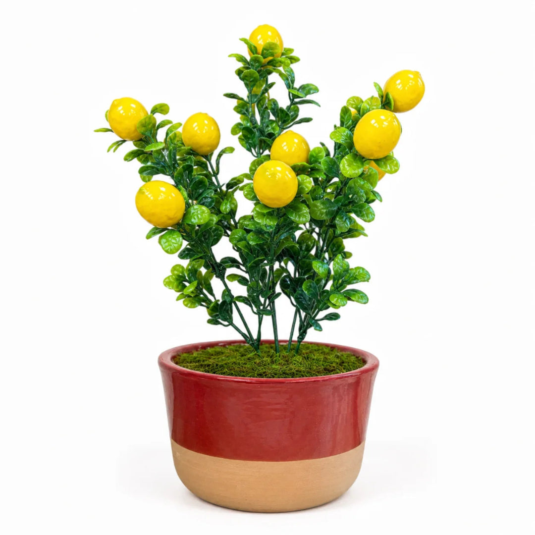 Artificial – Lemon Bonsai Ceramic Planter Pot (Good Gift)