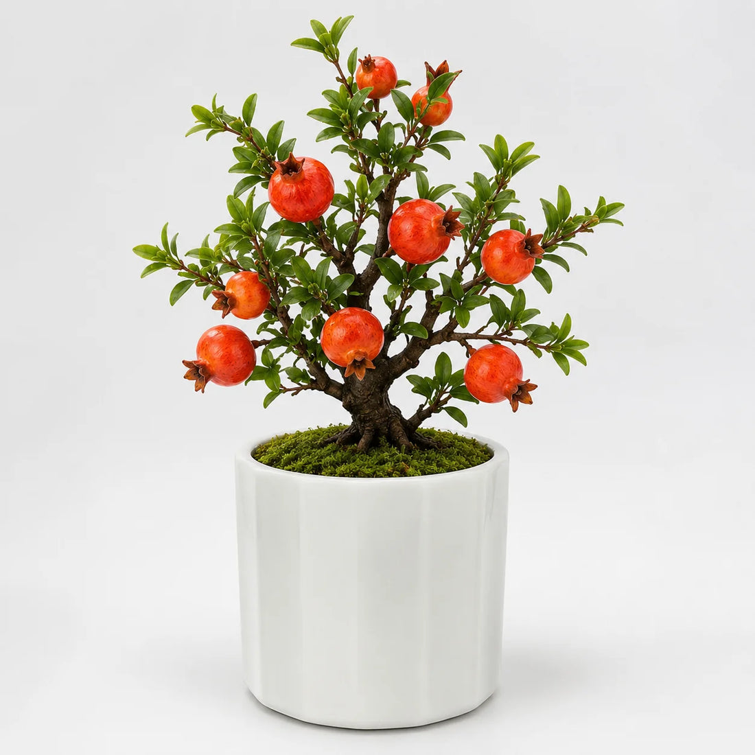 Artificial pomegranate bonsai in a white ceramic planter.