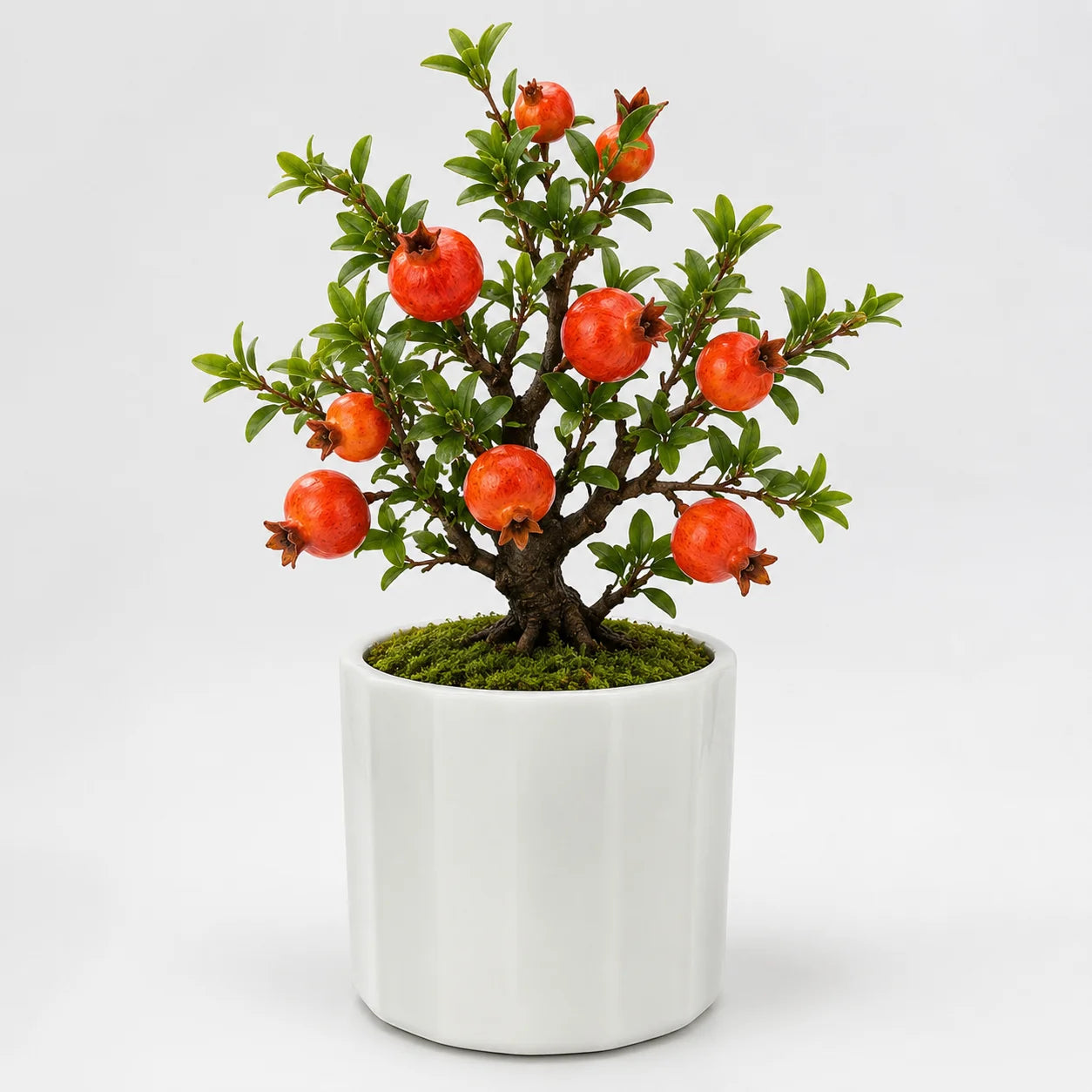 Artificial - Pomegranate Bonsai Ceramic Planter Pot