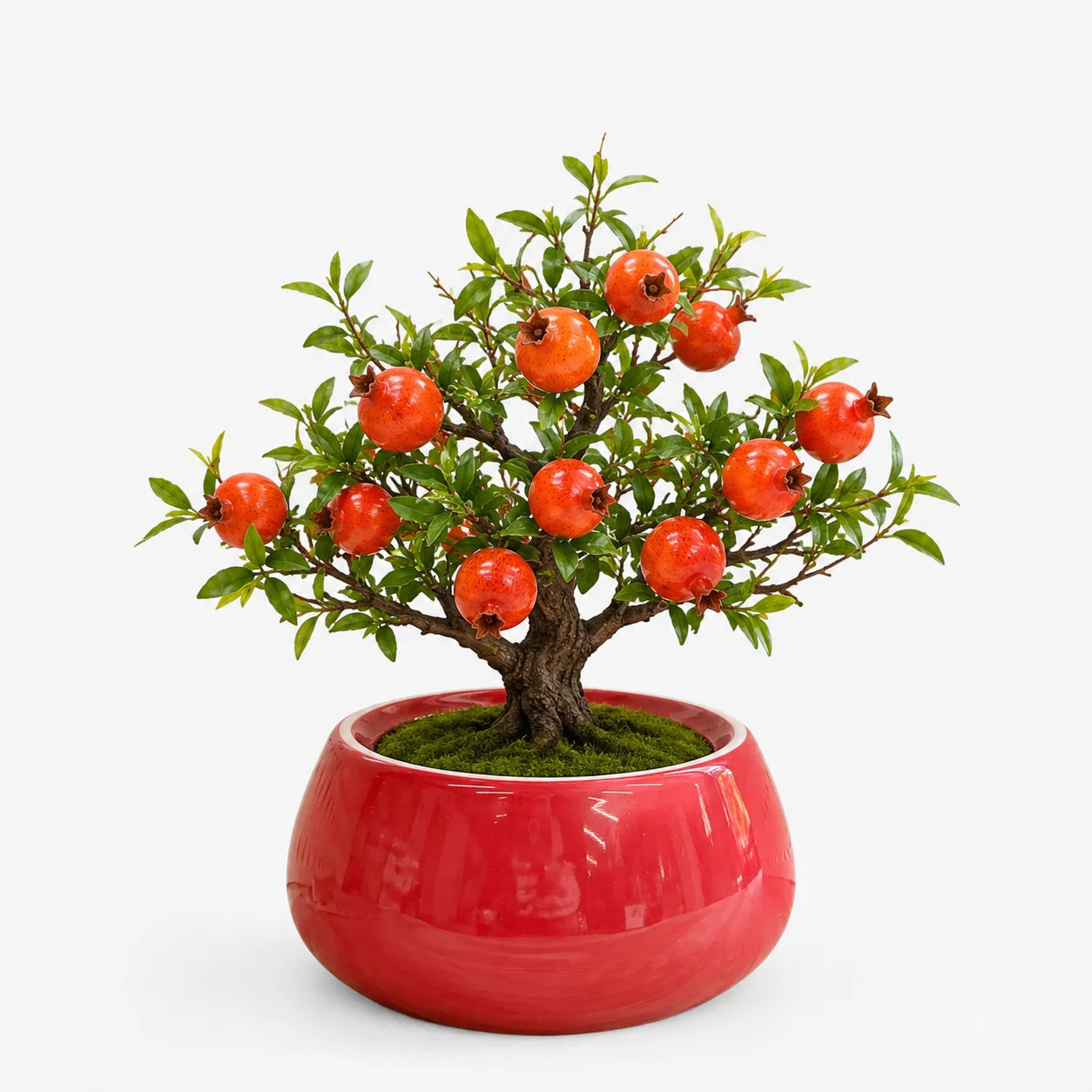 Artificial - Pomegranate Bonsai Ceramic Planter Pot