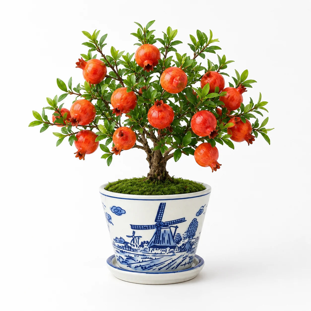 Artificial - Pomegranate Bonsai Ceramic Planter Pot