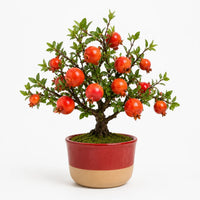 Artificial - Pomegranate Bonsai Ceramic Planter Pot