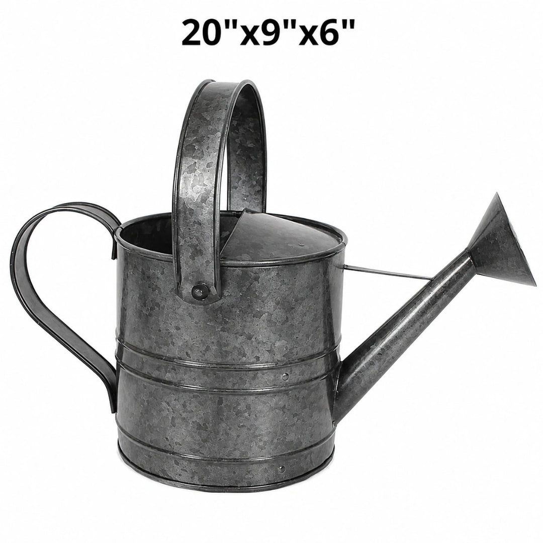 Watering Can Galvanized Platinum