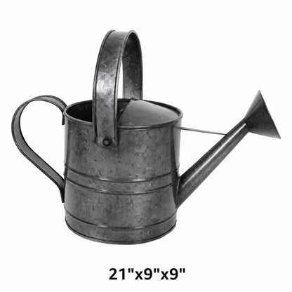 Watering Can Galvanized Platinum
