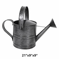 Watering Can Galvanized Platinum