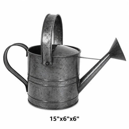 Watering Can Galvanized Platinum