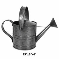 Watering Can Galvanized Platinum