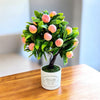 Artificial Plants
