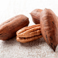 Ellis Pecan Tree