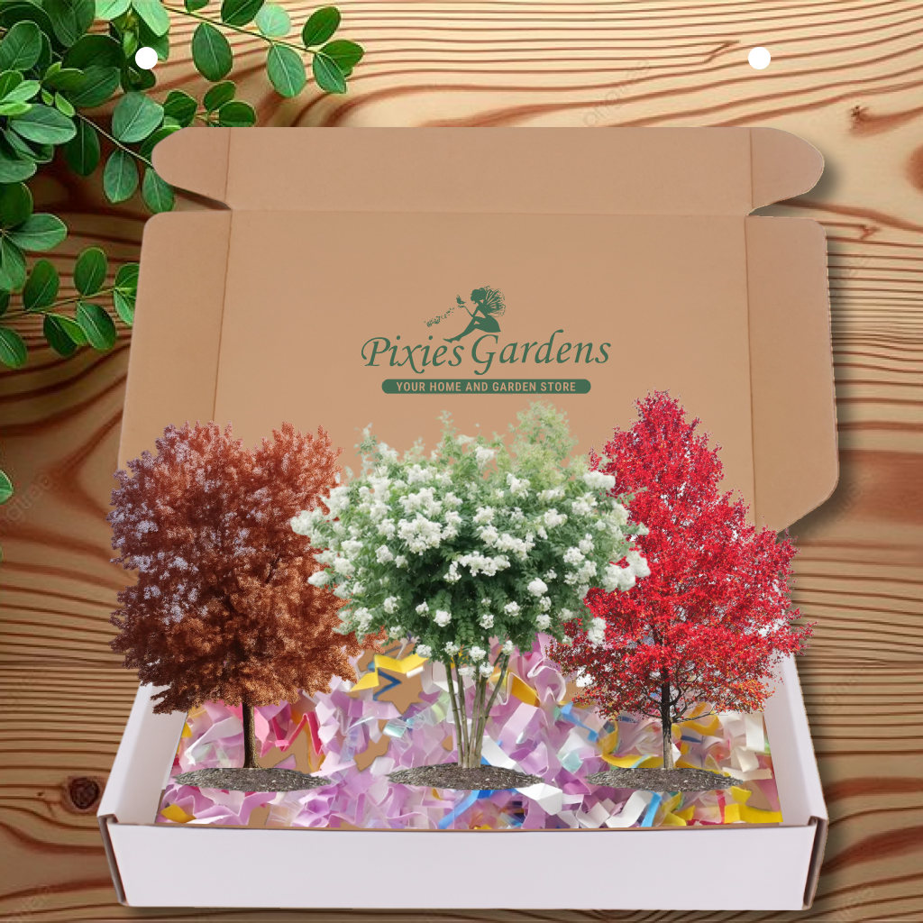 5 Gallon – 3 Items Bundle